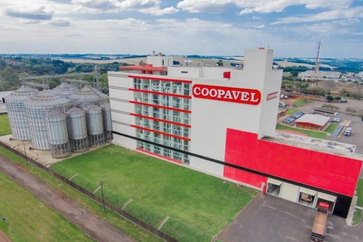 Coopavel